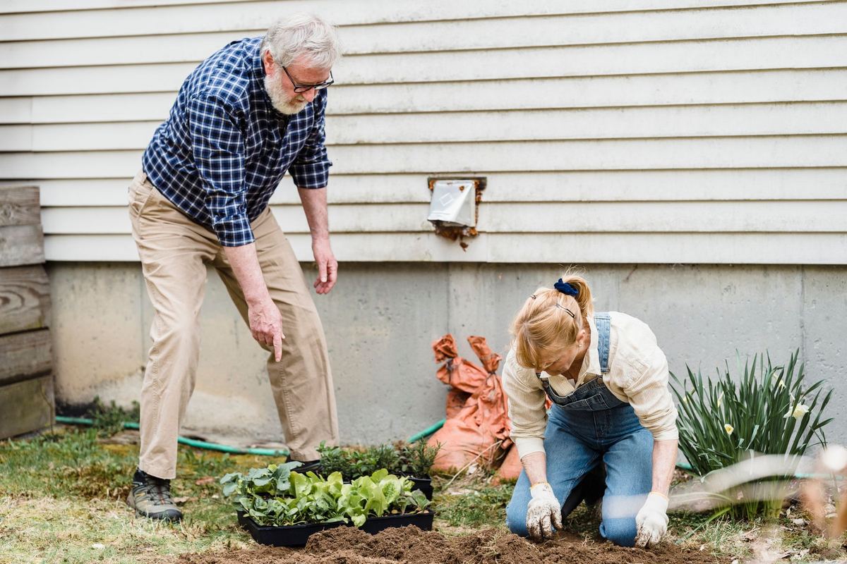 An older couple planting seedlings in their garden